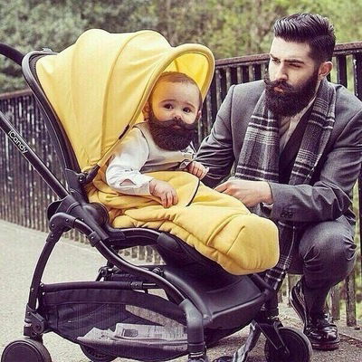 Саид Теймурян