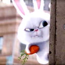 Яна Коц