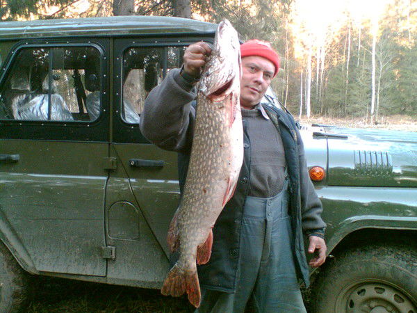 Игорь Горин