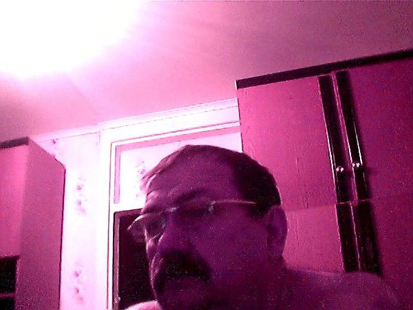 Леонид Перевертайлов