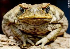 Вадим Рязанцев