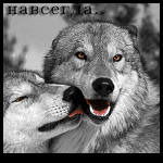 ღLюблю Тоlьkо Тeбяღ