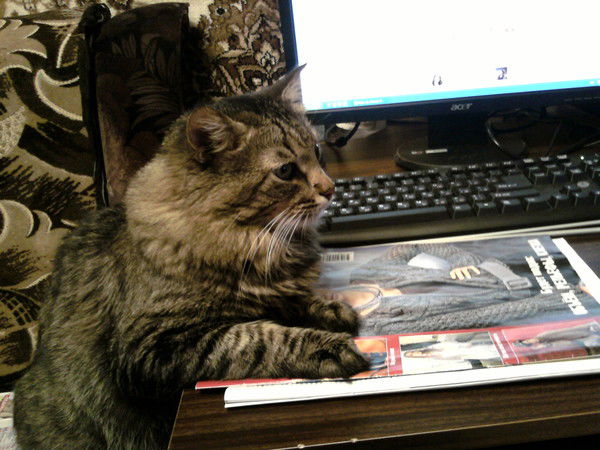 Хитрый Дмитрий