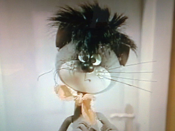 Кот Мир-Мур