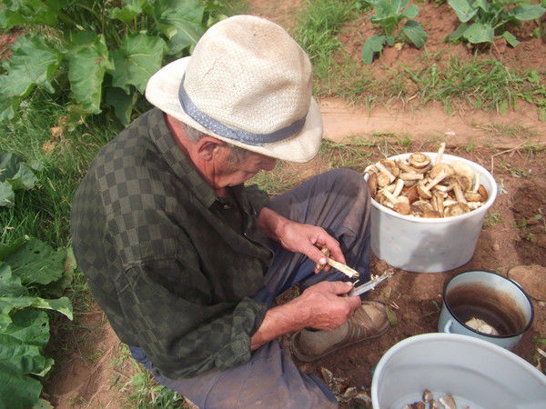 Александр Исаев