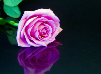 Омарова Данагул