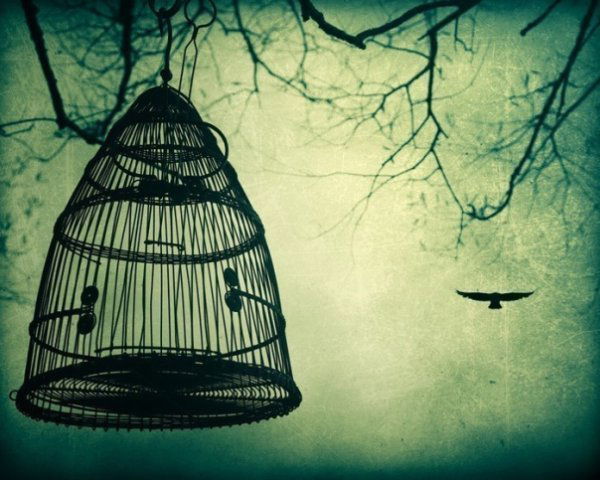 Олиша Муштей