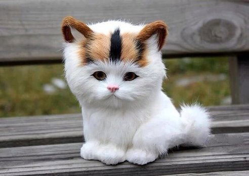 Асхат Баиев