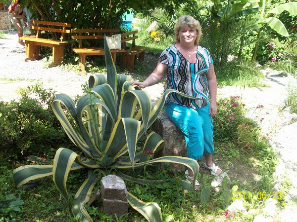 Ира Софронова