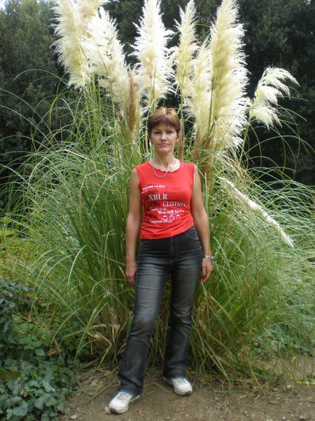 Елена Дереза