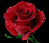 Жанар Искакова