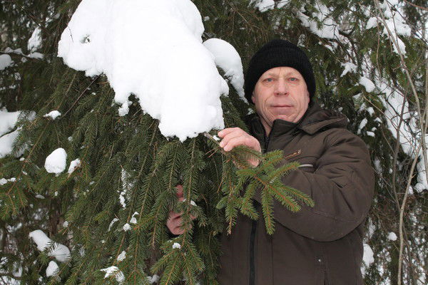 Владимир Гребнев
