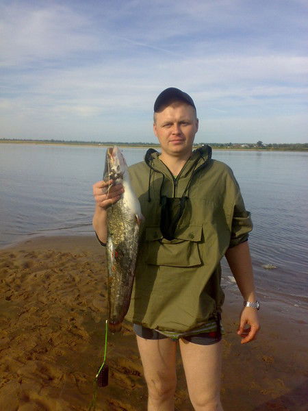 Александр Костылев