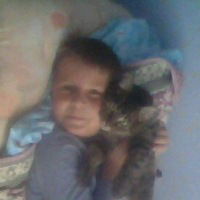 Миша Ярмолович