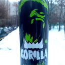 Рома Норвиков