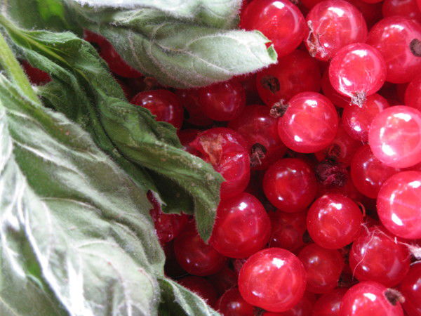 Ольга Селевёрстова