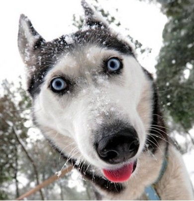 Костя Семёнов