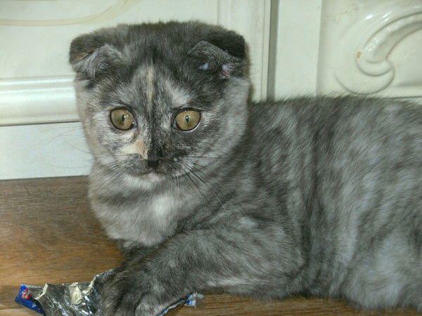 Наталья Емельянова