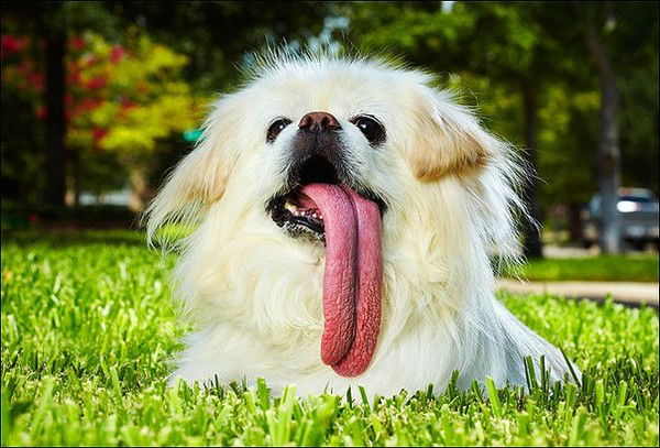 Сергей Сергеев