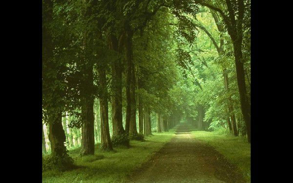 Ленар Самигуллин