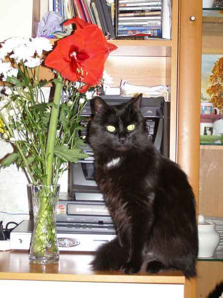 Пономаренко Мария