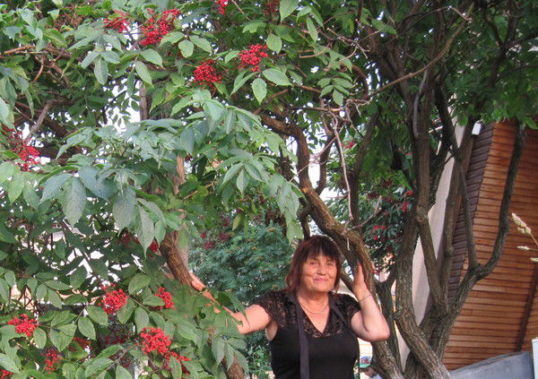 Галина Карбовская