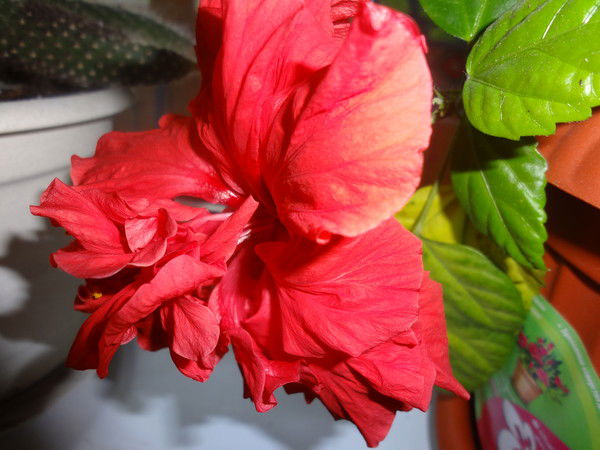 Аня """""""""""""