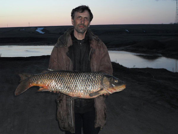 Виктор Перч