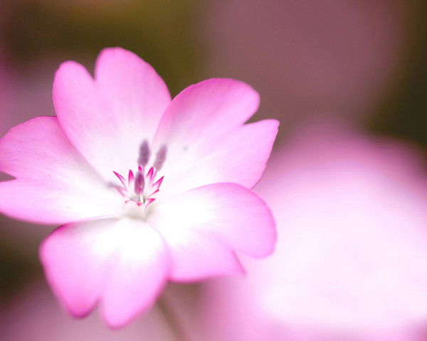 Юля Галатенко