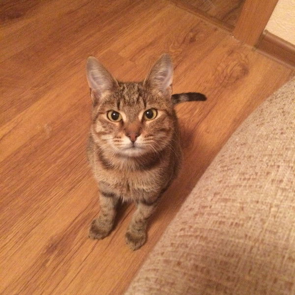 Лёня Иванов