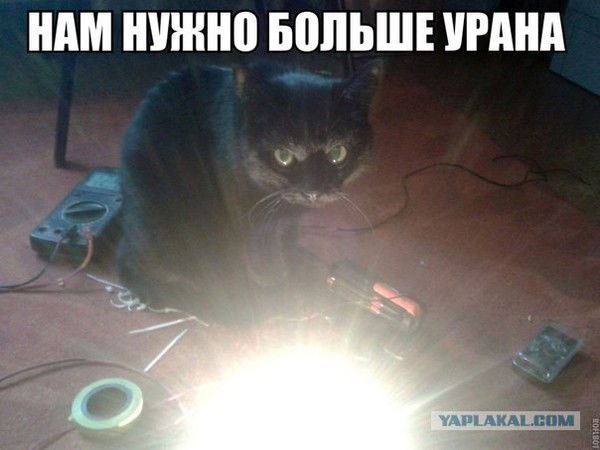 Константин Винокуров