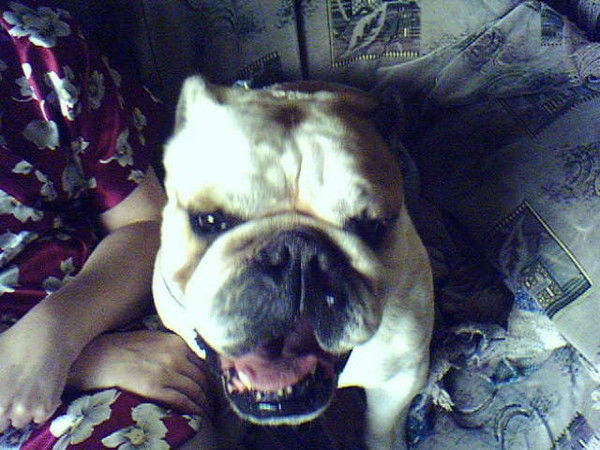 Эдуард Комаров