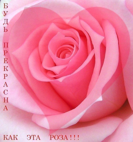 Гульмира Рахметова