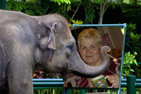 Тамара Казарина