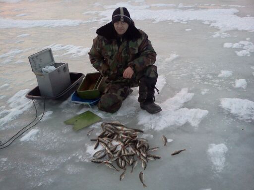 Олег Тимофеев