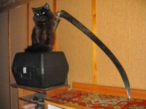 Вова Свиридов