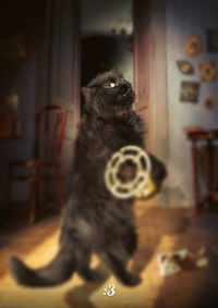 Ярослав Зарванський