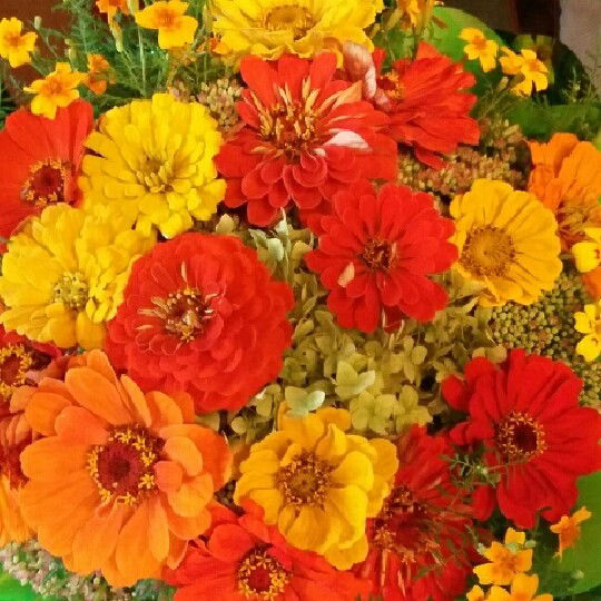 Екатерина Жамалетлинова