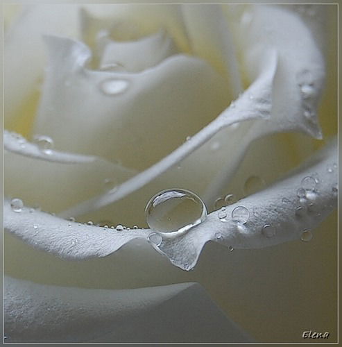 Татьяна Аболенцева