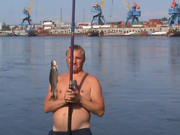 Денис Плотников