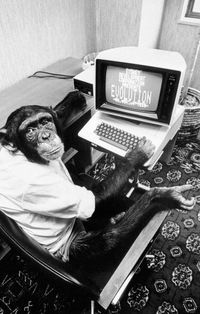 Андрей Папов