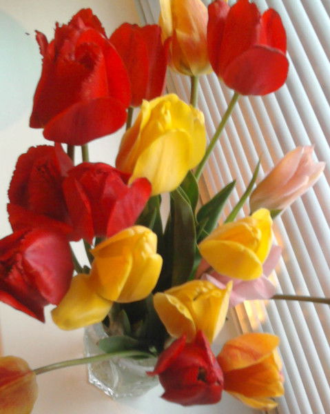 Анна Татьянина