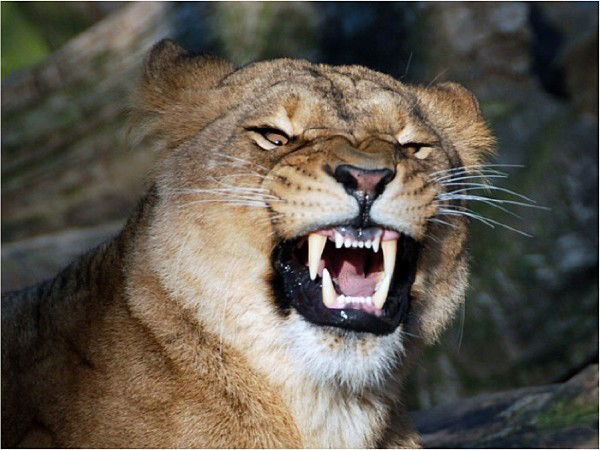 Дарья Валерьевна