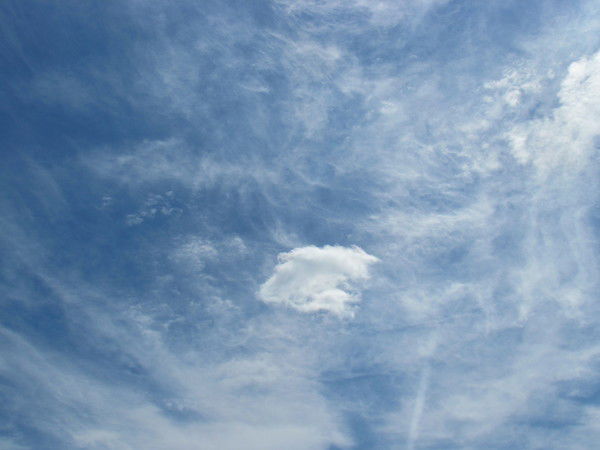 Рустам Сагдеев