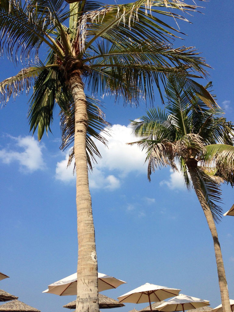 Кузя Культяпкин