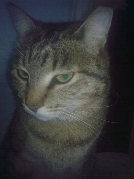 Кирилл Назаров