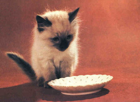 Михаил Титков