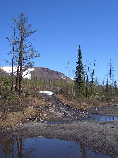 Людмила Тымчук