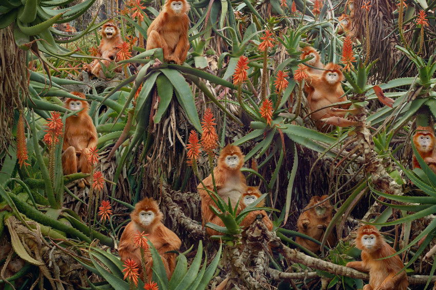 Александр Бочкарев