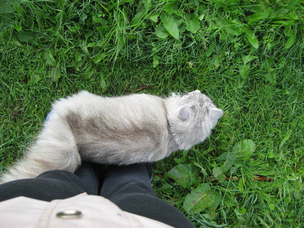 Ирина Кузнецова